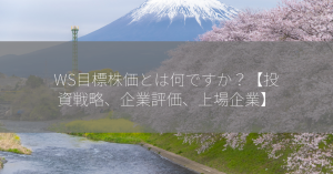 WS目標株価とは何ですか？【投資戦略、企業評価、上場企業】